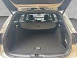 Ford Focus Turnier 1.5 EcoBlue Start-Stopp-System Aut - Ford Focus: ST Turnier
