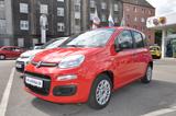 Fiat Panda Urban - Fiat Panda Gebrauchtwagen in Dortmund