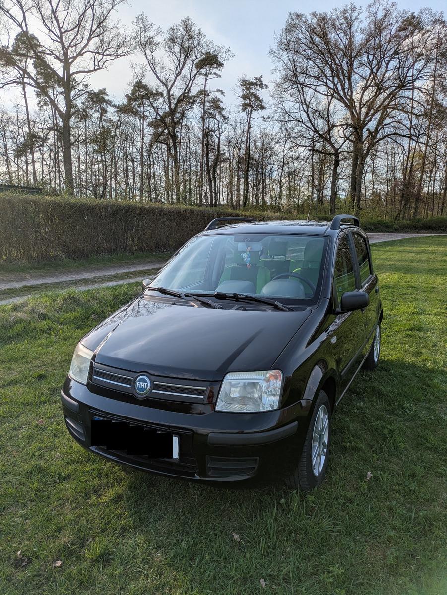 Fiat PandaPanda 169 (Sondermodell) - Alessi Sitze 2