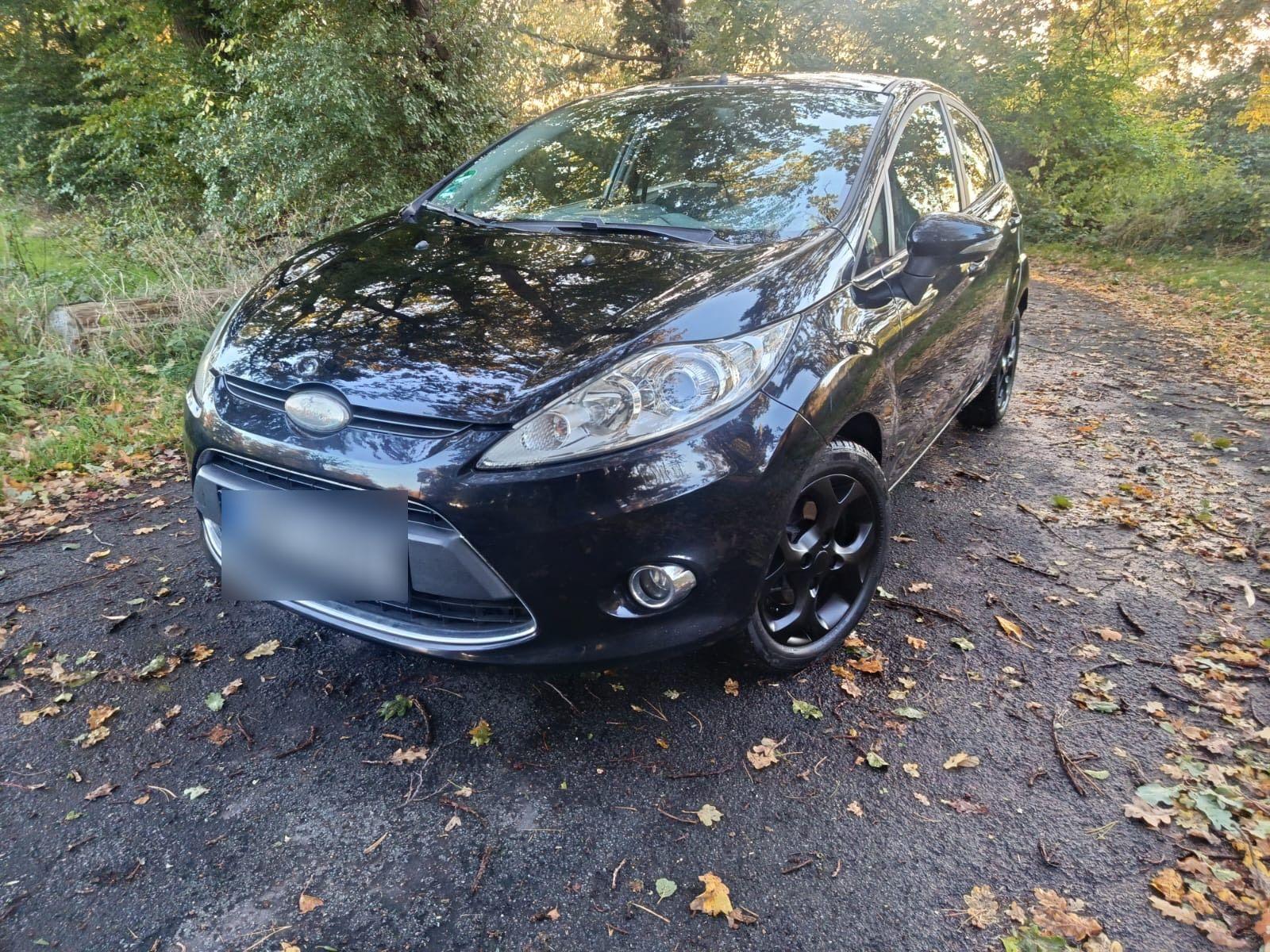 Ford Fiesta 2010 — rear view