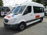 Mercedes-Benz Sprinter II Kasten 313CDI 9-Sitzer Rollstuhllift - Mercedes-Benz Sprinter: Sitzer 9