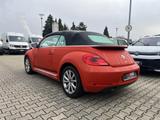 Volkswagen Beetle Cabriolet 2.0 TDI DSG Club Klima Navi - Volkswagen Beetle: TDI