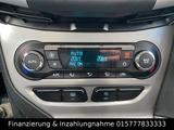 Ford Focus Limo 8 Fach Einparkhilfe Zahnriemen Neu - Ford Focus: Kleinwagen