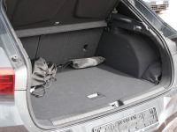 Cupra Terramar - Vorschau Bild 17