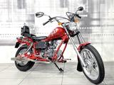 Andere Pagsta Regal Raptor 100 - Angebote