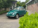 Volkswagen Käfer 1200 er aus Erstbesitz SSD Pappdeckelbri - Volkswagen Käfer: Kleinwagen
