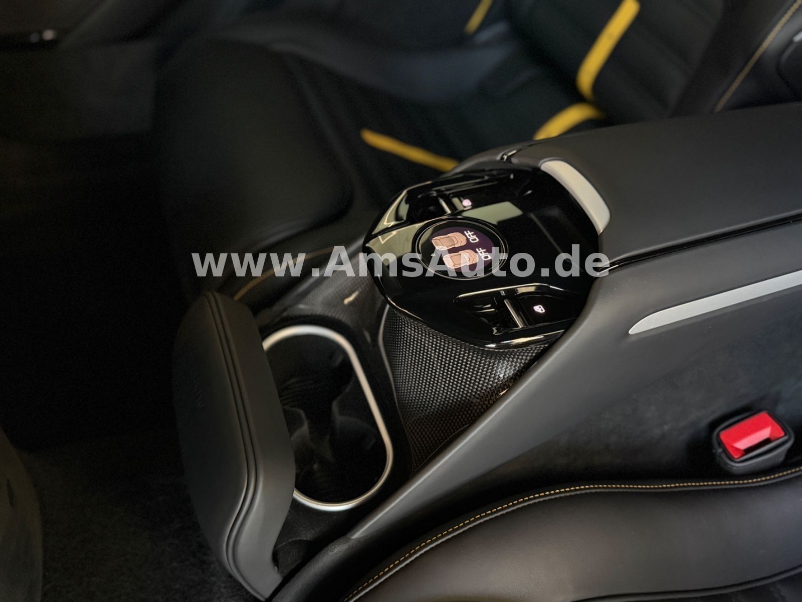 Purosangue Full Carbon Pano Massage