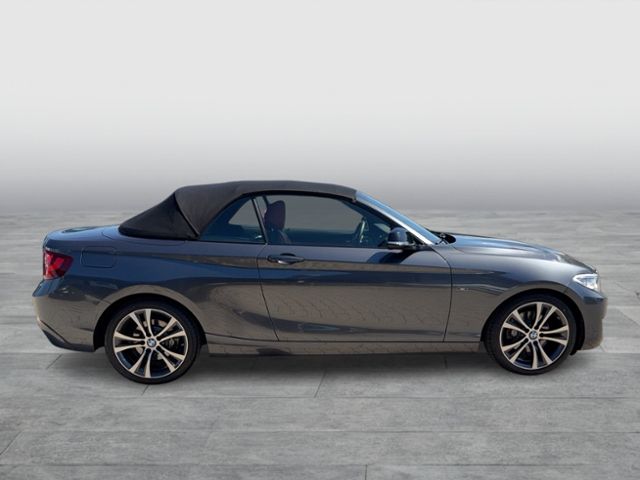 220i CABRIO LINE LEDER XENON REAR VIEW SPORT FW