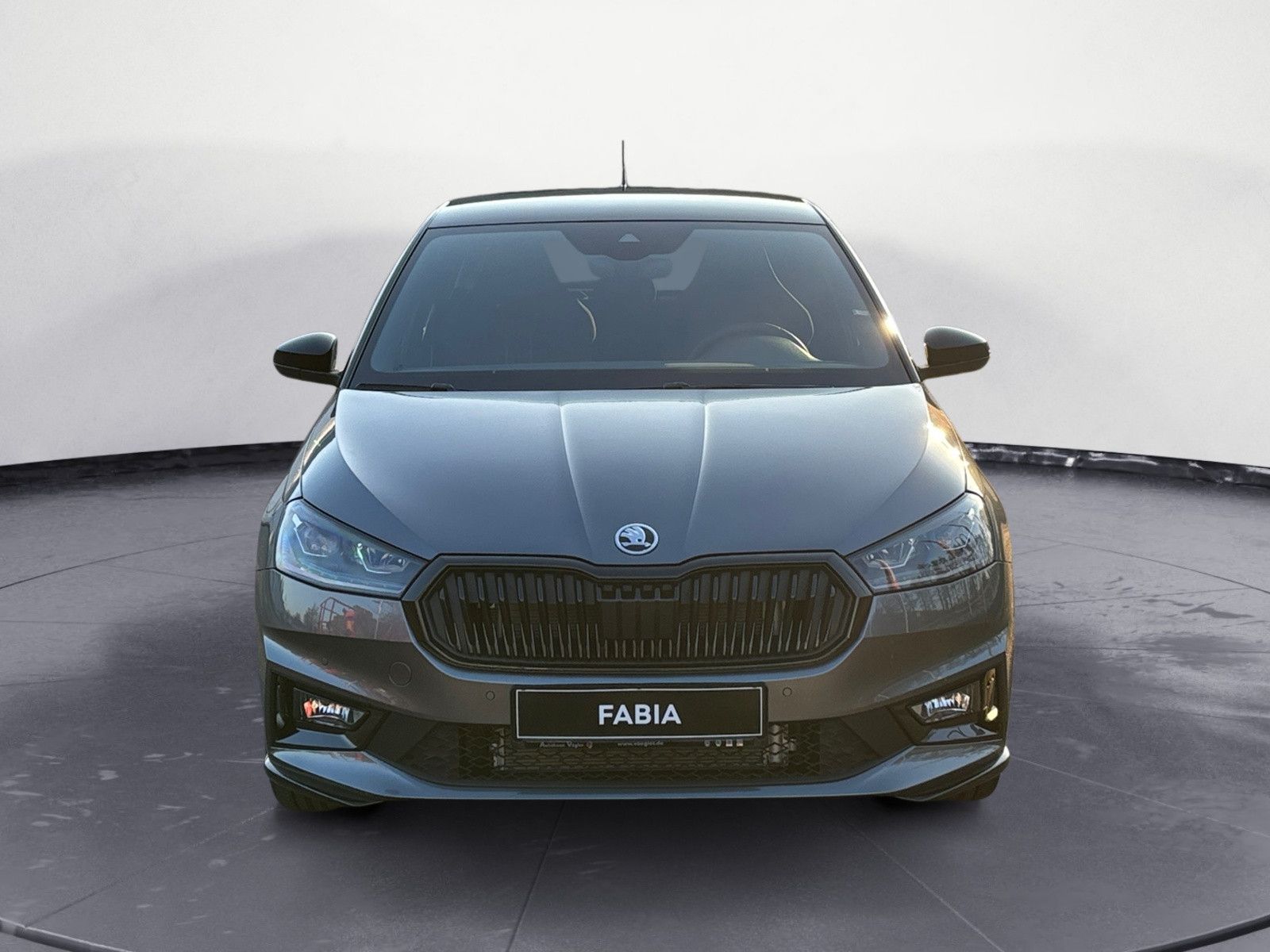 Fabia Monte Carlo 1.5TSI DSG ACC/SHZ/LHZ/Navi