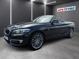 BMW 218 Cabrio Luxury Line LED Navigation SHZ PDC - : Braun, Leder