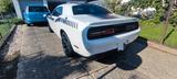 Dodge Challenger RT - Dodge Challenger Benzin Gebrauchtwagen