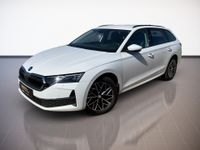 Skoda Octavia - Vorschau Bild 2