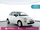 Fiat 500 1.0 Mild Hybrid Cult|Klimaanlage - Fiat 500 Cult mit Benzin-Antrieb