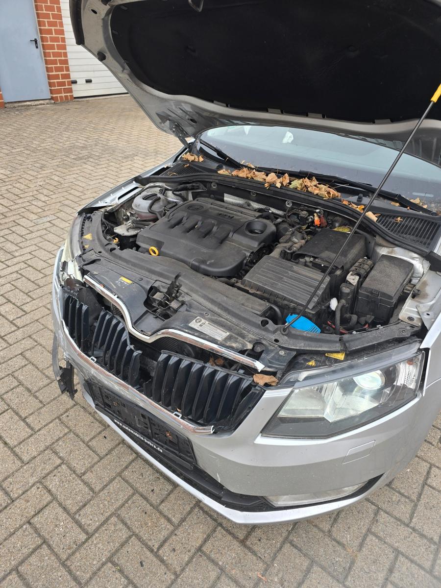 Skoda Octavia 2015 — interior