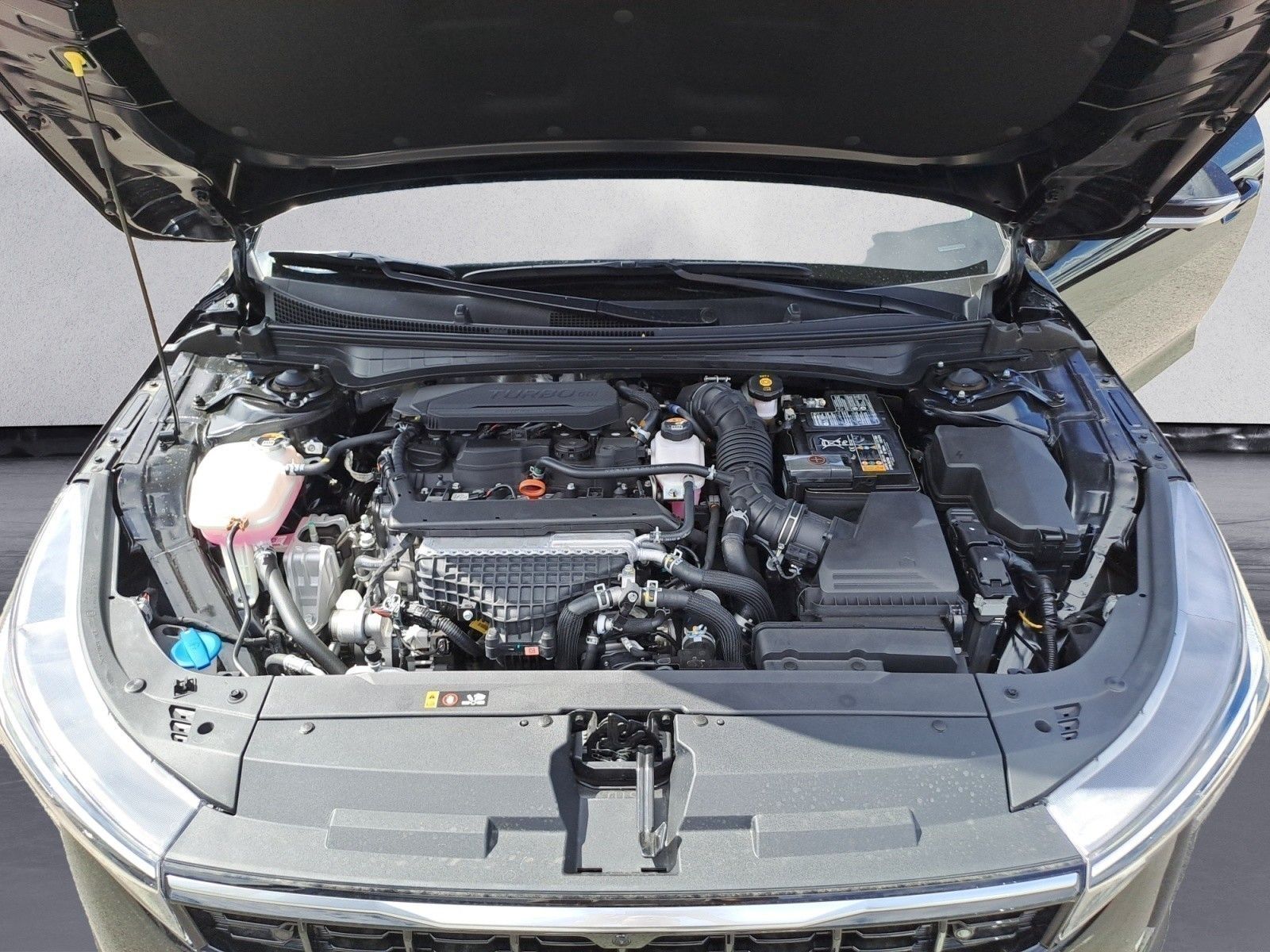 Kia K4 - Bild 16