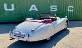 Jaguar XK 120 DHC  - aus 1953 mit Benzin-Antrieb: Cabrio