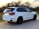 BMW X5 M50 M50d - - BMW X5 M50 Gebrauchtwagen