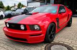 Ford Mustang 4.6 V8 GT 305 PS - Ford Mustang Gebrauchtwagen in Bochum