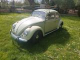 Volkswagen VW käfer 1960 patina - VW Gebrauchtwagen von 1960