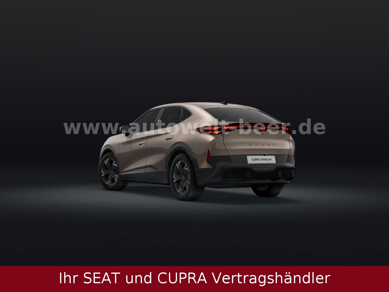 Cupra Tavascan - Bild 2