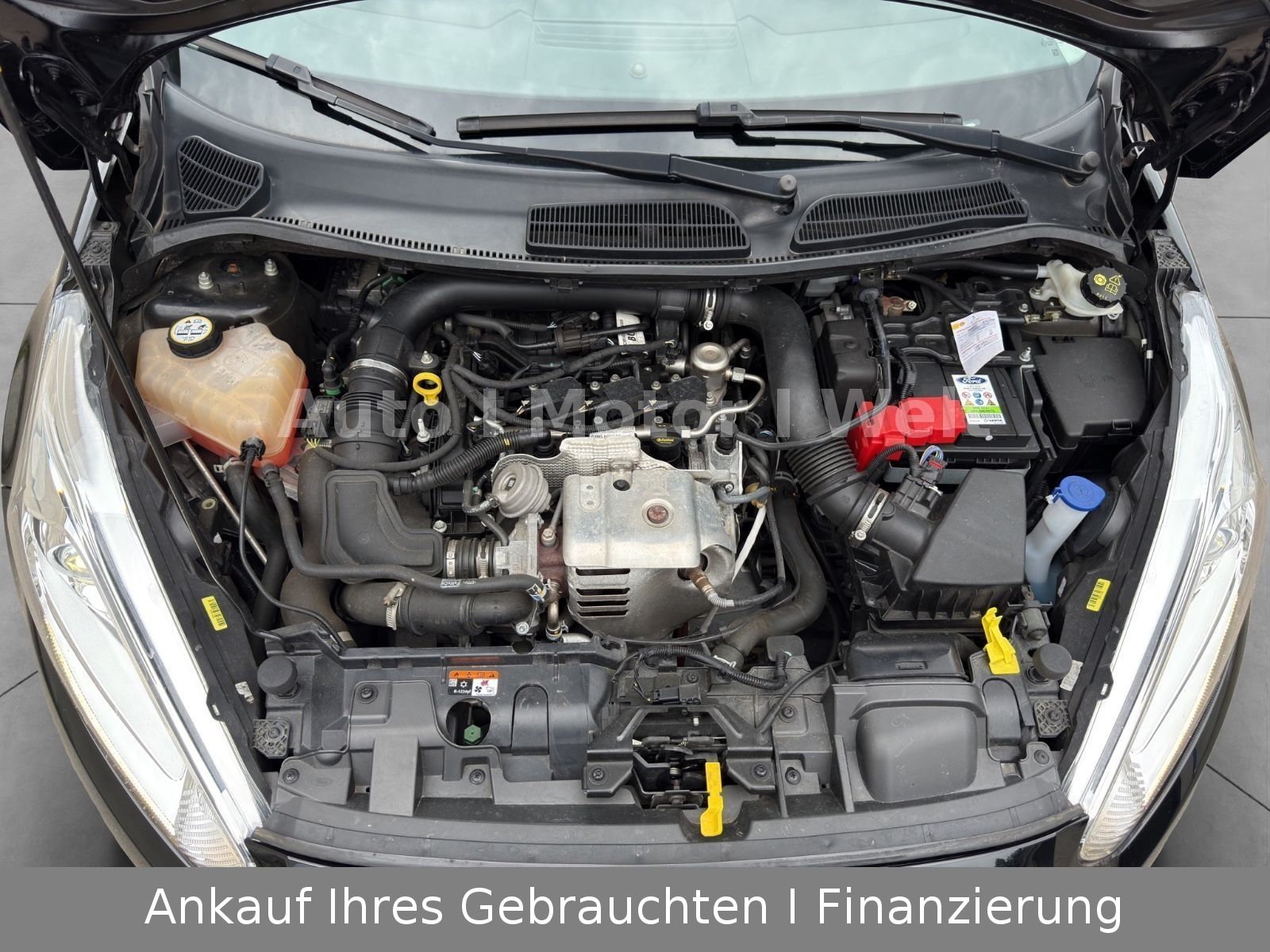Fahrzeugabbildung Ford Fiesta Celebration ALU/ALLWETTERREIFEN/SHZ/KLIMA