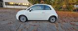Fiat 500 1.0 GSE N3 Hybrid - - Fiat 500 Gebrauchtwagen in Frankfurt