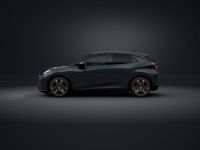 Cupra Andere - Vorschau Bild 2
