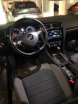 Volkswagen Golf 2.0 TDI SCR DSG Highline LED AHK ACC - Volkswagen Golf: TDI Highline