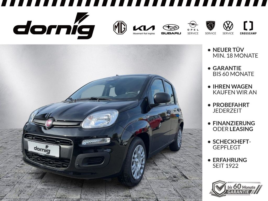 Image of Fiat Panda