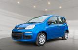 Fiat Panda - Fiat Panda Gebrauchtwagen in Hannover