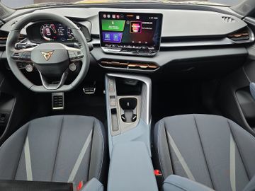 Cupra Terramar - 10