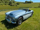 Austin Healey 100/6 BN6L - Austin Healey Gebrauchtwagen