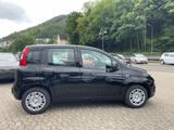 Fiat Pandina 1.0 Icon Bluetooth 5''Radio PDC - schwarze Fiat New Panda