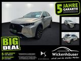 DS Automobiles DS3 PureTech 130 Performance Line+ Navi Kamera - DS Automobiles Jahreswagen