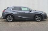 Lexus UX 250h F SPORT Design - Lexus UX: F Sport Design