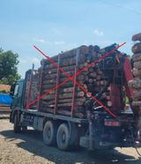 Mercedes-Benz Actros 2646 6x4 MP2 - Mercedes-Benz Actros 2646