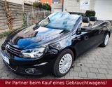 Volkswagen Eos 2.0 TDI Exclusive 6-Gang Panorama Sportausst - Volkswagen Eos in Hannover