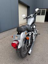 Harley-Davidson XL1200C Sportster Custom 100th Anniv. - HARLEY-DAVIDSON 2003 SPORTSTER 1200