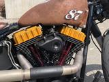 Harley-Davidson FLSTC /Custom - Angebote