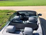 BMW 318ci Cabrio, Tech. Top, Live Video Besichtigung - BMW aus 2003: Cabrio