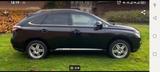 Lexus RX 450 450h - - Lexus RX 450 Benziner Gebrauchtwagen