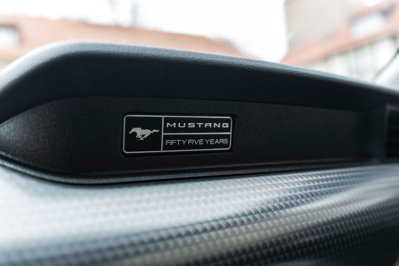 Fahrzeugabbildung Ford Mustang Kabrio GT 5.0L ACC LED KAM NAV SHZ/K