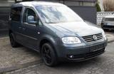 Volkswagen Caddy Life Familien Caddy/KLIMA/SITZHEIZUNG/TOP - Volkswagen Caddy: Familien