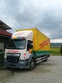 Vorschaubild DAF LF 290 FA Standort: SK- Klcov