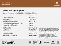 Cupra Terramar - Vorschau Bild 4