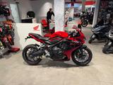 Honda CBR650R nur 589km *Service neu* - HONDA CB 650