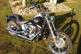 Harley-Davidson Softail Custom FXSTC - HARLEY-DAVIDSON FXSTC