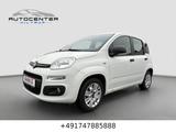 Fiat Panda Easy|1.Hand|Klima|TÜV|unfallfrei|Euro 6| - Fiat Gebrauchtwagen in Münster