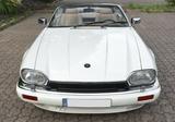 Jaguar XJS - Jaguar XJS mit Benzin-Antrieb: Cabrio