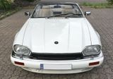 Jaguar XJS - Jaguar XJS